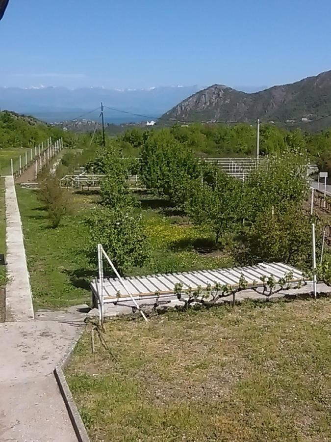 Apartments Stankovic & Boat Tours Virpazar Exterior photo